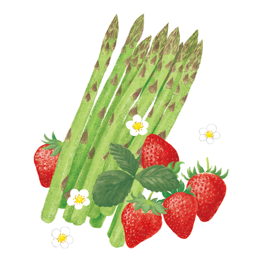 野菜たち_アスパラガスといちご