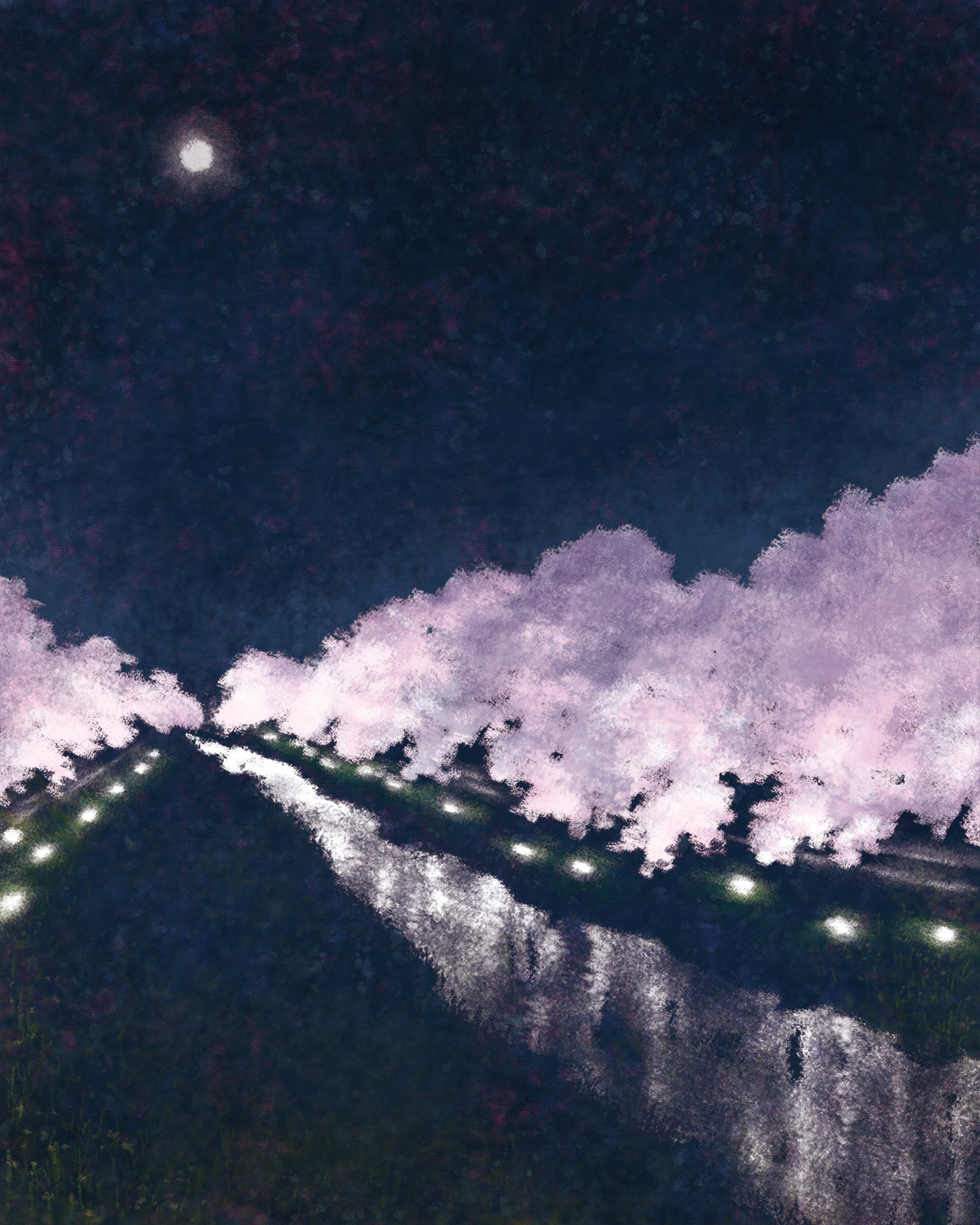 オリジナル「夜桜」